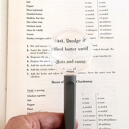 Handheld Magnifier with 2