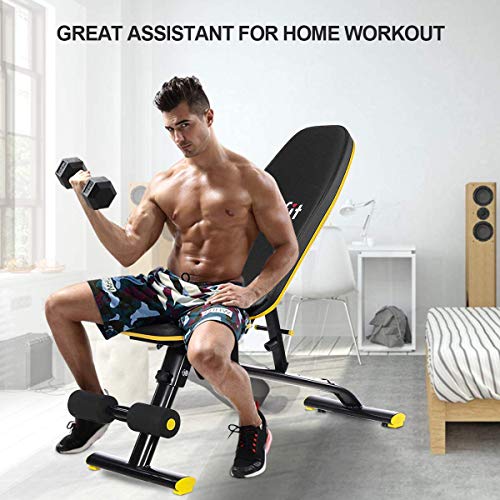 Weight Bench Adjustable Foldable, Doufit Heavy Duty Assembled Workout Bench Press for Home Gym, Indoor Multi-Purpose Exercise Incline Decline Bench for Weight Lifting Training
