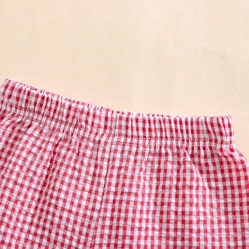 Kids Toddler Boys Girls Gingham/Seersucker Shorts Elastic Waist Plaid/Striped Elastic Waist Shorts Pants Bottoms3