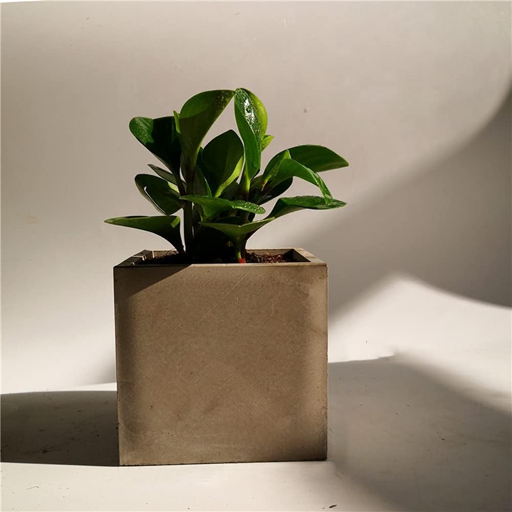 爆買い Umxosm シリコン型 コンクリート植木鉢用 4 7x4 7x4 7インチ 正方形 プランター型 大型 コンクリート型 Diyコンテナ 多肉植物 盆栽デコレーション用 Stagneshighschool Org 爆買い Umxosm シリコン型 コンクリート植木鉢用 4 7x4 7x4 7インチ 正方形 プランター型 大型 コンクリート型 Diyコンテナ 多肉植物 盆栽デコレーション用 Stagneshighschool Org