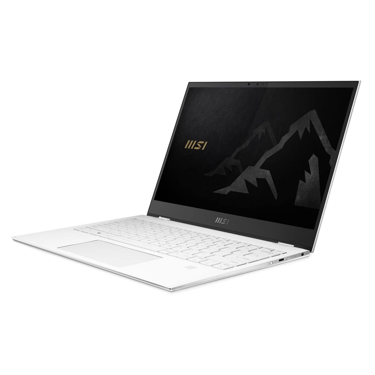 Amazon.com: MSI Summit E13 Flip Evo Business Professional Laptop