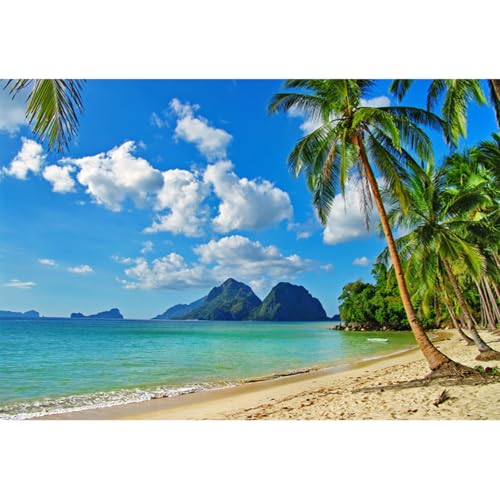 YongFoto 2,2x1,5m Vinilo Fondo Playa Fotografia Mar Paisaje Cielo Azul Nubes Blancas Palmera Montaña Telón de Fondo Infantil Fiesta Cabina de Fotos Bandera Niños Estudio Fotográfico Accesorios