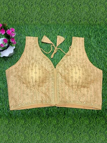 Image of TRENDMALLS Women's Dhupion Silk Embroidery Sequence Work V Neck Sleeveless Blouse Choli Stylish Saree Blouse Ready to Wear