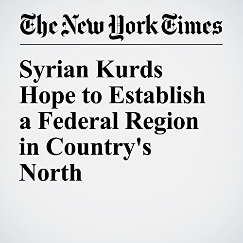 Syrian Kurds Hope to Establish a Federal Region in Country's North cover art