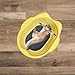 Leefasy Cat Bed Cat Lounger Basket Furntiure Protection Stylish Versatile Comfort Rustic Modern Sleeping Nest Puppy Kitten Small Dogs, Yellow