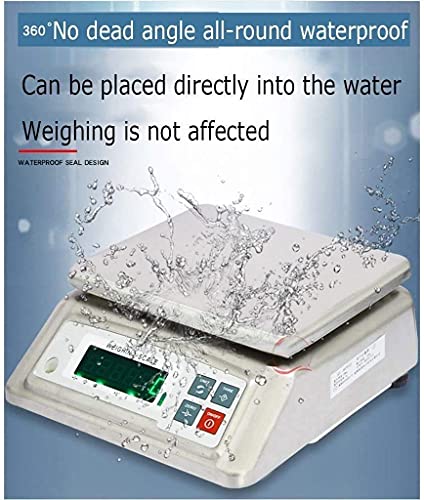 Báscula electrónica digital impermeable 30kg acero inoxidable miniatura 2