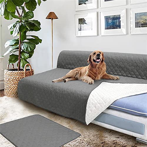 Coussin de canapé pour chien imperméable et lavable XS
