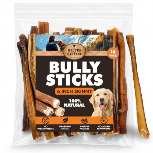 BRUTUS & BARNABY Skinny Bully Sticks for Dogs 6 Inch (16 Count) - Natural Grass-Fed Beef Chew Sticks Odor Free Single Ingredient Rawhide Free - for Small Dogs Medium Dogs & Puppies