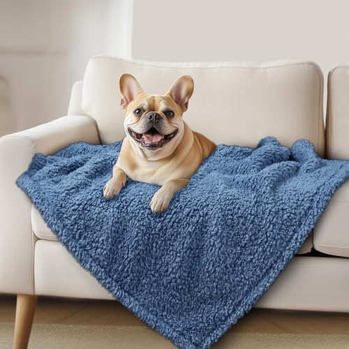 Image of Luciphia Ultra Soft Sherpa Fleece Dog Puppy Cat Blanket for Small Pets | Calming Plush Throw For Crate,Couch,Car,Bed.Machine Washable.Puppy Essential,Dog Gift,Cat Stuff,Haze Blue,41x31 inches