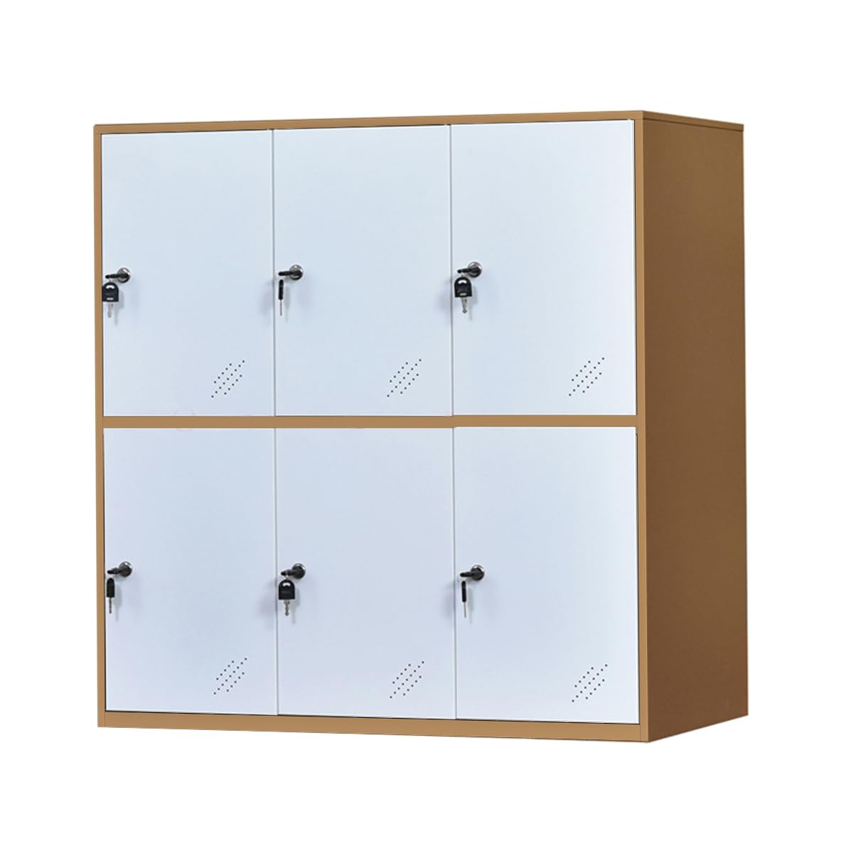 MECOLOR Taquilla de Almacenamiento para empleados, taquillas de Metal para Oficina, taquillas de Gimnasio, taquillas de Acero con Cerradura para el hogar... (6D, Blanco)