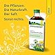 Schoenenberger - Ingwer naturreiner Pflanzentrunk - 1x 200 ml Glasflasche - beruhigt den Magen und lindert Übelkeit - natürlich frisch gepresst - bio