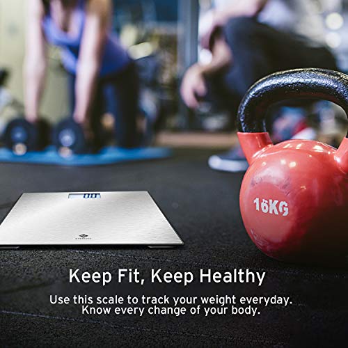 Etekcity Stainless Steel Digital Body Weight Bathroom Scale Step-On Technology Large Blue LCD Backlight Display, 400 Pounds , Grey, 12x12 Inch (Pack of 1)