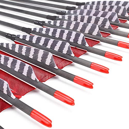 Pure Carbon Arrows 30 Inch 600 Spine Turkey Feather Fletching Screw-in Field Points Targeting Hunting Traditional Long Bow Arrows for Recurve Bow Compound Bow (Pack of 12)