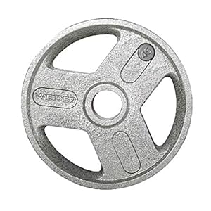 Hammertone Olympic Plate
