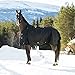 Horze Nevada Heavy Weight 1200D Waterproof Horse Winter Turnout Blanket (400g Fill) - Black - 78 in
