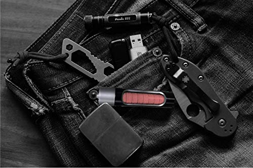 Caffeine Mints By Rally, 60Milligram Caffeine, Instant Energy, Fresh Breath Caffeinated Mints, 0 Sugar, Cinnamon Flavor (6 Packs, 60 Mint) #TOP2