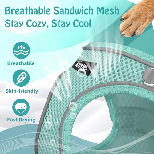 AIITLE No Pull Hundegeschirr, Step in einstellbares Hundegeschirr mit gepolsterter Weste, Hundeleine mit weichem gepolstertem Griff, leicht anzulegen für kleine und mittlere Hunde Reines Türkis S