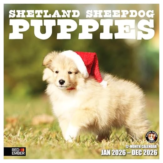 RED EMBER Shetland Sheepdog Puppies 2026 Wall Calendar 12 Month | 12" x 24" Open | Thick & Sturdy Paper | Giftable | Cute Sheltie Puppy Dog Calendar 2026