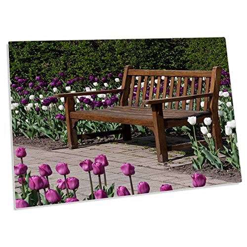 Alfombrilla Grande para Escritorio 3dRose 23"x16"