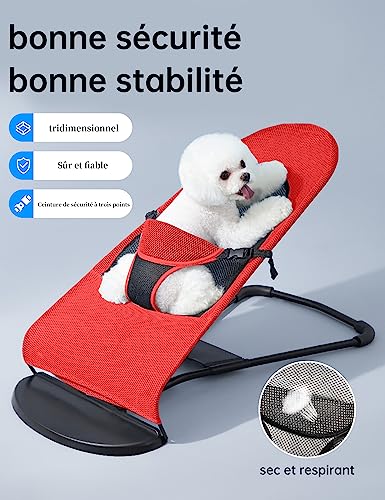 Canapé à bascule pliable rouge pour chiens et chats de petite taille