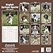 English Springer Spaniel Calendar 2025 | Square Dog Breed Wall Calendar - 16 Month