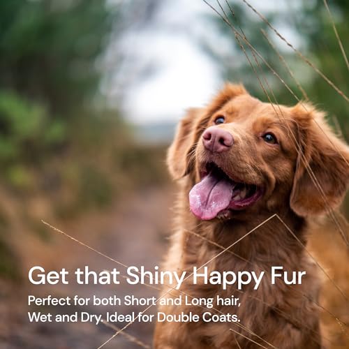 image for MalsiPree Dog Grooming Brush for Shedding - 2 in 1 Deshedding Tool and