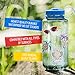 Water Bottle Stickers, Laptop Stickers and Vinyl Stickers. Cute Stickers for Water Bottles, Phone Cases. Aesthetic Stickers, Waterproof Vinyl Stickers Pack. Perfect for VSCO Teen Girls Stickers.