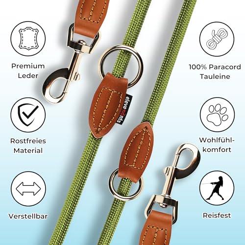 elevenants® Verstellbare Hundeleine 3 Meter | Robuste Nylon Umhängeleine für mittelgroße bis große Hunde | Führleine mit 200kg Zugkraft | Doppelleine mit 2 Karabiner | Multifunktionsleine (Grün)