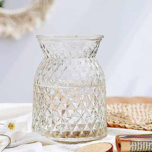 Style Nordique Clair Verre Vases,Concis Grande Bouche De Bouteille Bud Vases,Arrangement Floral,Parfait Vase Decoratif pour Salon Bureau Mariage-Un 12x12x16cm(5x5x6inch) Cover