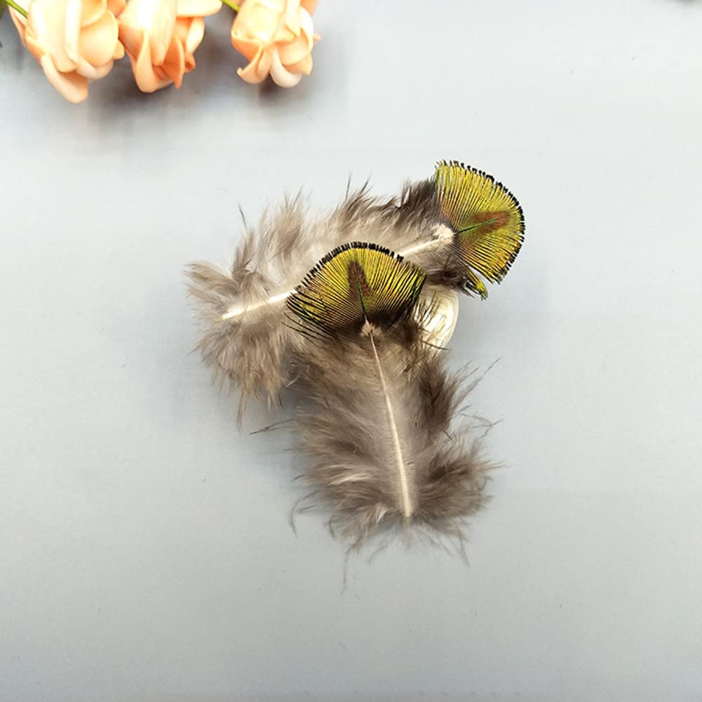 CHIHOLEN Bastelfedern Set - 48 Natürliche Federn Für DIY Projekte Und Deko