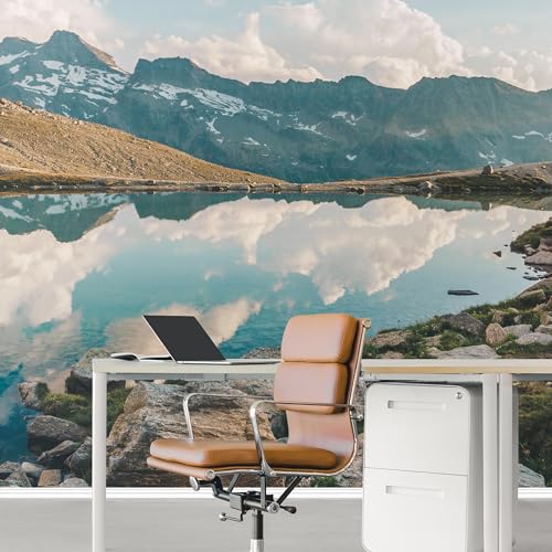 Custom Office Wall Mural