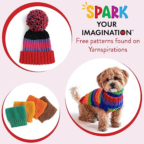 Red Heart RHSSKIT.003 Super Saver Super Yarn Knit Kit thumb #4
