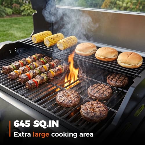 Image of Gas Grill, Outdoor Propane Grill, Gas BBQ Grill Barbecue Grills 5-Burner