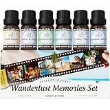 ASAKUKI Hotel Diffuser Oils Set, Hotel Scent Essential Oils for Diffuser, Travel-Inspired Luxury Fragrance Oil Blends,- Hotel Haven, Neon & Rain, Hawaiian Aloha, Warm Encounters, Finally Free