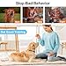 SEDULAN Dog Bark Deterrent Devices Anti Barking Device for Dogs Ultrasonic Bark Stopper Portable Dog Training Tool Indoor Outdoor Up to 50ft Correct Bad Behavior of Own or Neighbor's Dog (Orange)