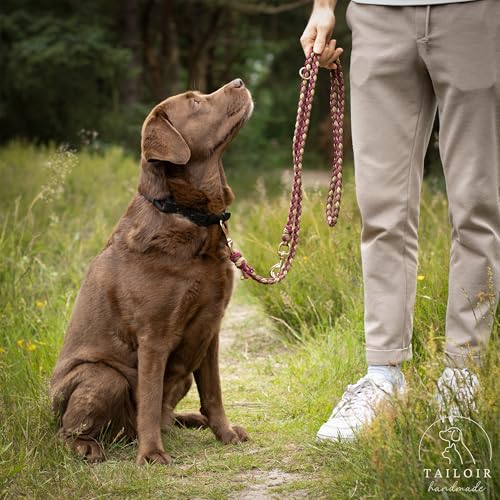 Tailoir Hundeleine 2m geflochten - Leine Hund, Mittelgroße - Große Hunde, Leine verstellbar, Hundeleinen, Dog Leash Führleine, Bissfeste Hundeleine zum Umhängen, Trainingsleine, Freihandleine Paracord