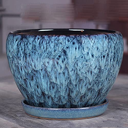 Plante en céramique ronde extra grande pour fleur cactus avec trou drainage et soucoupe ménagère