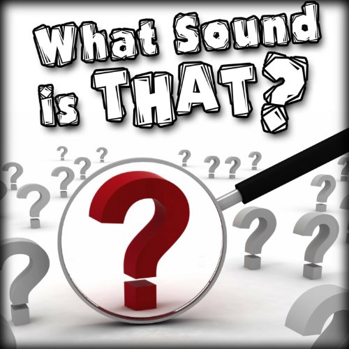 Amazon.com: What Sound Is That? : Captain Audio: Digital Music