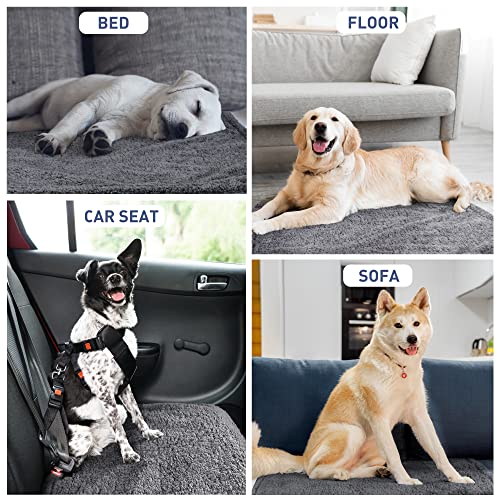 Pawsee Wasserdicht Hundedecke Katzendecken Waschbar, wasserdichte Decke für Unterwegs Hundesofa Schutzdecke Sofa Überwurf, Flauschig Hundedecke für Miniaturhunde Kleine Hunde Katzen,XS 75 x 60cm