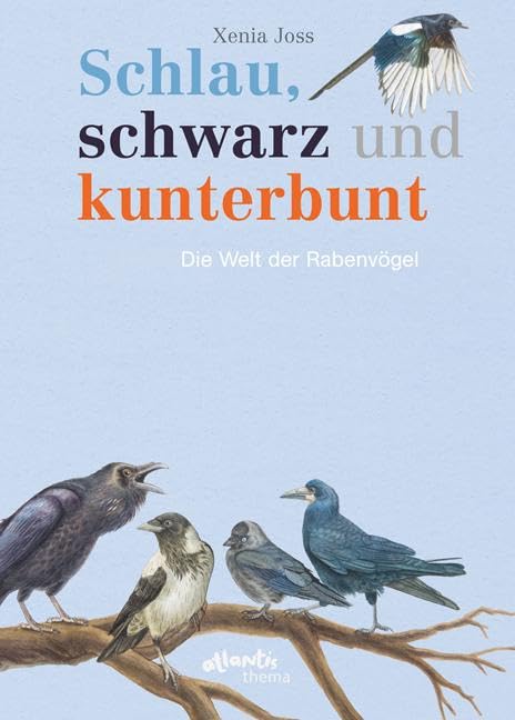 Schlau, schwarz