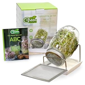 Green SEEDS Duurzaam kiemglas 1-delige set + KRESSESIEB | 1000 ml met hoogwaardig roestvrijstalen roosterdeksel, standaard, keramische schaal + ABC sporten [drukversie]