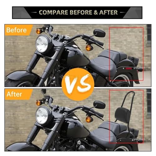 Appui-dos passager Softail pour savourer vos grands road-trips et trajets à deux - 5