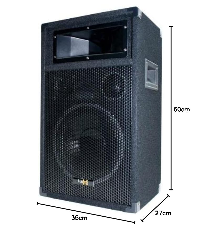 E-Lektron 500W DJ Party Lautsprecher Box - 25cm / 10" Bass PW25