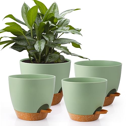 Hay Plant Pots The 16 best products compared Product guide The