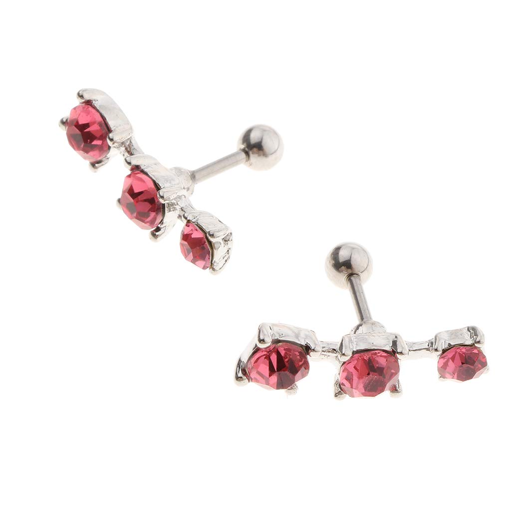 COMBR 1Pair Stainless Steel Ear Tragus Helix Ear Studs Bar Piercing Jewelry Pink (B09J863SF4) Amazon Price History, Amazon Price Tracker