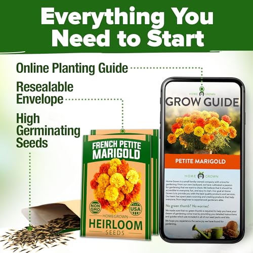 Image of HOME GROWN Petite French Marigold Seeds 658 Flower Seeds for Planting Outdoor Easy to Grow Companion Plant & Quick Blooming Pollinator Heirloom Wildflower Seeds (Tagetes patula)