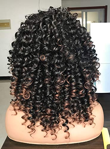 Prettiest Afro Curly Wigs Black With Warm Brown Highlights Wigs With Bangs For Black Women Natural Looking For Daily Wear (Ombre Brown) #TOP4