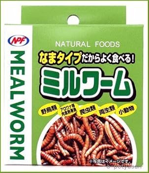Amazon | [NPF]ミルワーム（なまタイプ）35g缶入り