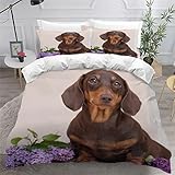 NYSMGS Bettwäsche 135x200 Kinder Schokoladenwurst Bettbezug Set Haustier Welpe Bettwäsche-Set 3 Teilig Bedding Weiche Mikrofaser Bettbezüge Mit Reißverschluss und 2 Kissenbezug 80x80cm