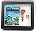 Onchopristis Sawfish Vertebra & Tooth Fossil 16862